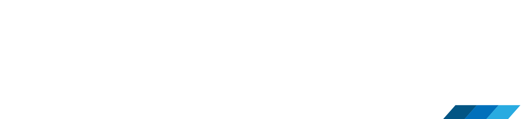 Webnitix Logo